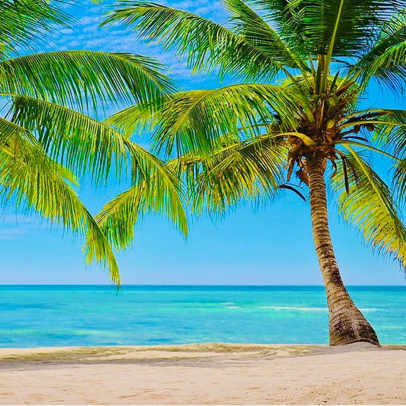 🌴🌞PoshAmbassador!🌞🌴 - Picture 5 of 7